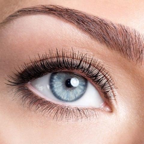 Mise en valeur Regard